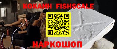 Альфа ПВП Новозыбков