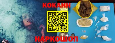 крисы Новодвинск