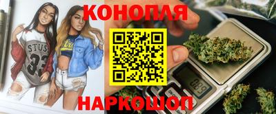 Альфа ПВП Новозыбков