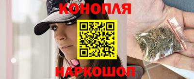 крисы Новодвинск