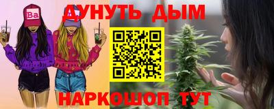 Альфа ПВП Новозыбков