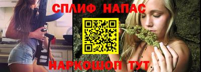 Альфа ПВП Новозыбков