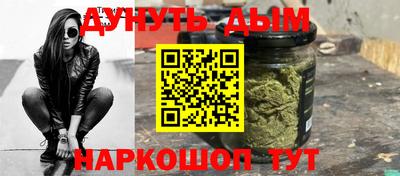 крисы Новодвинск