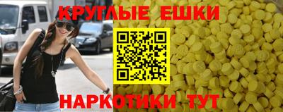 крисы Новодвинск