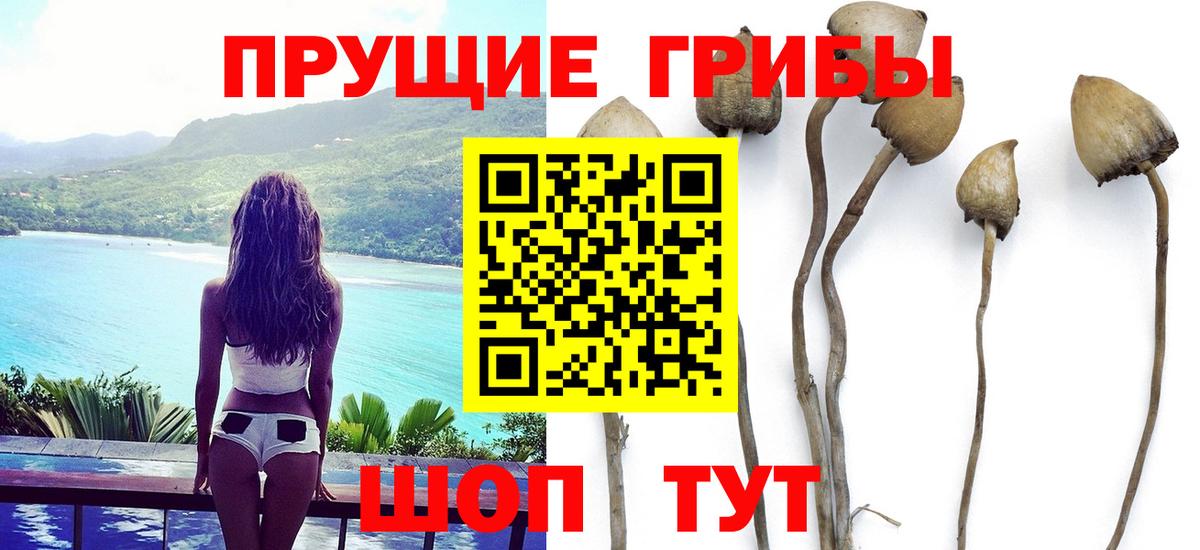 Галлюциногенные грибы Magic Shrooms Сунжа