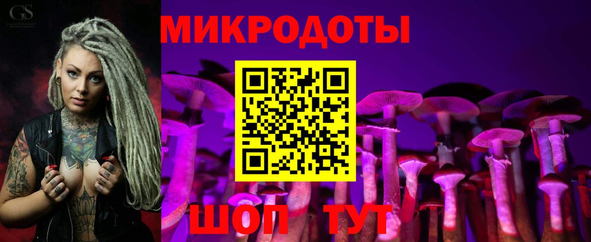 Галлюциногенные грибы GOLDEN TEACHER  Псилоцибиновые грибы Cubensis  Вход с VPN  Сунжа 